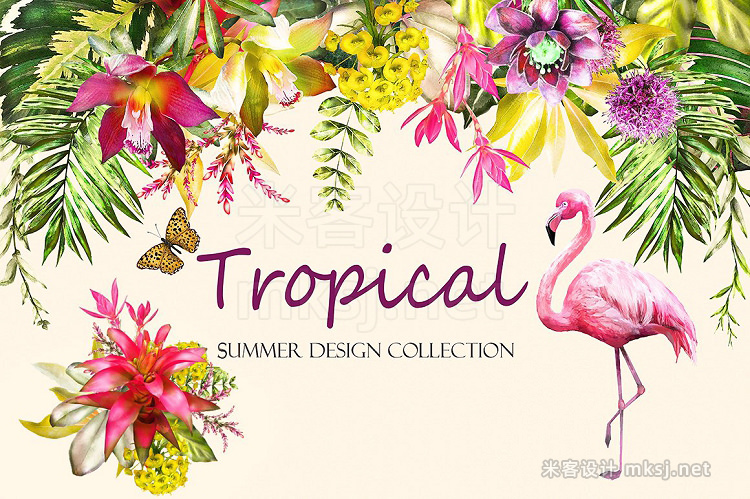 png素材 Tropical collection Summer design