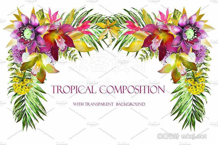 png素材 Tropical collection Summer design