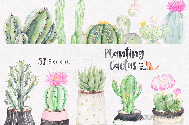 png素材 Planting Cactus Watercolor Clipart