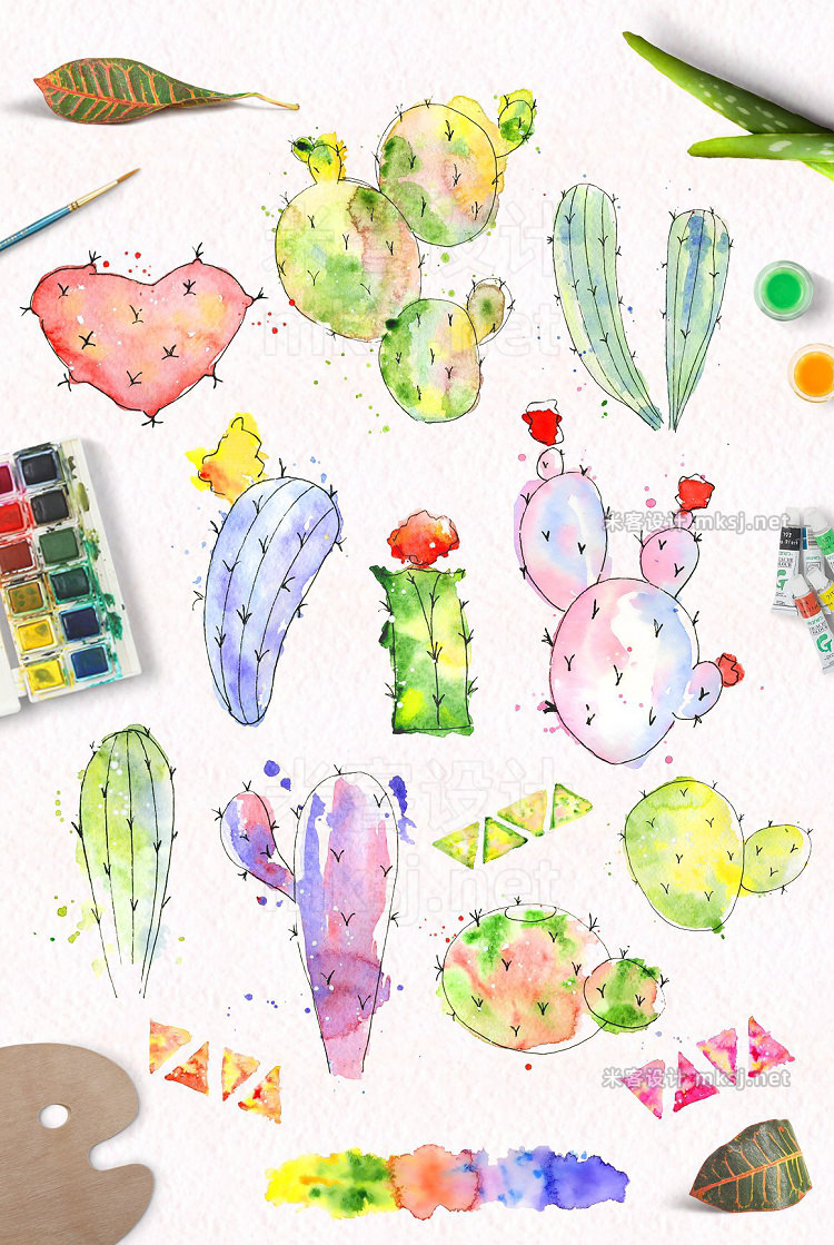 png素材 Watercolor abstract Cactus