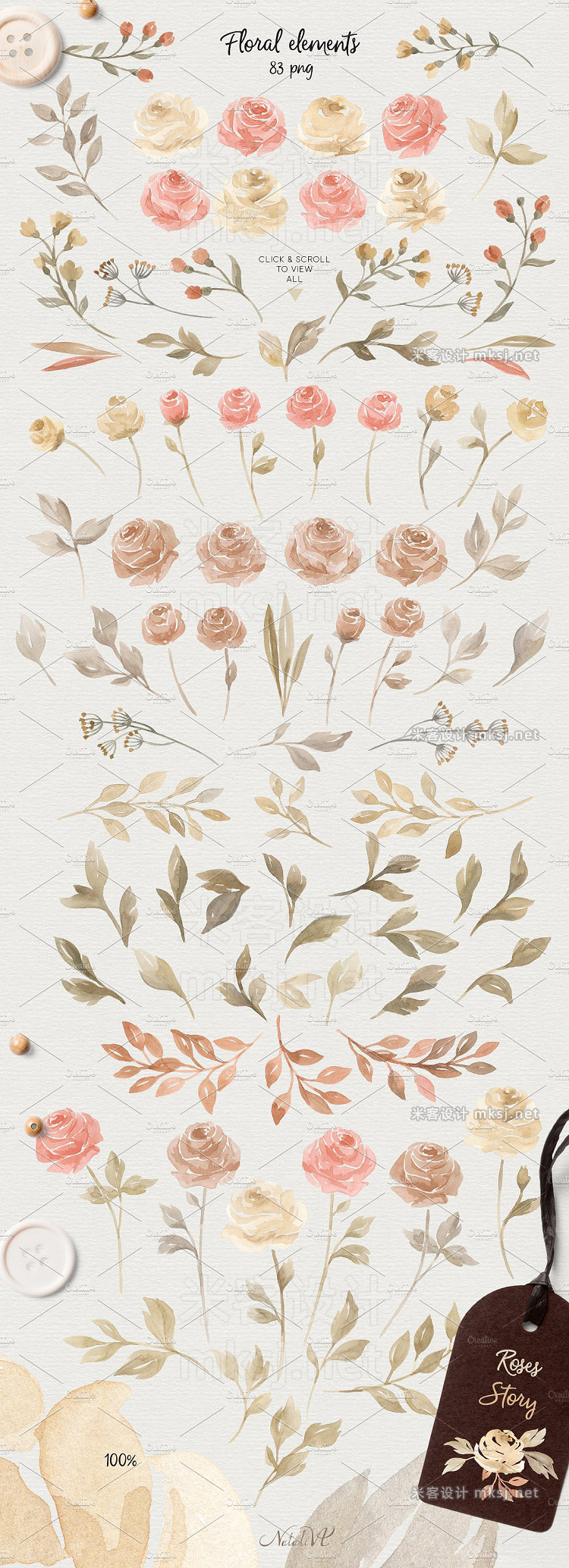 png素材 Roses Story Design Kit Watercolor