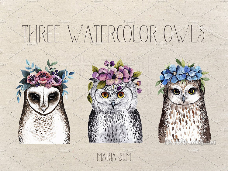 png素材 Watercolor Owls