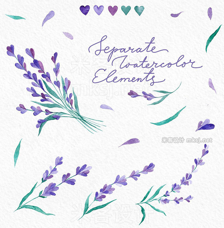 png素材 Watecolor Lavender Clip Art Set
