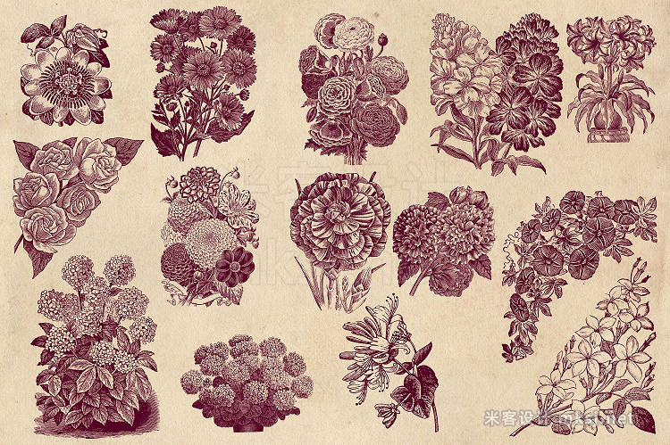 png素材 Vintage Flower Vector Graphics 2