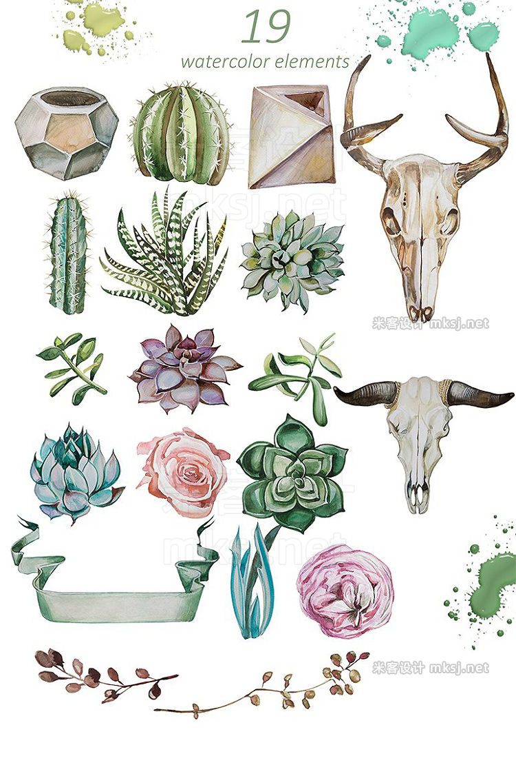 png素材 Watercolor Wild Succulent Garden Set