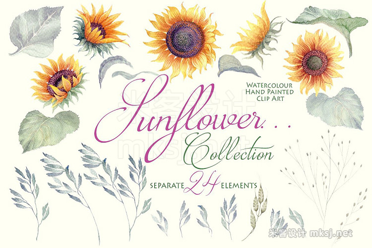 png素材 Sunflower - Clipart Collection