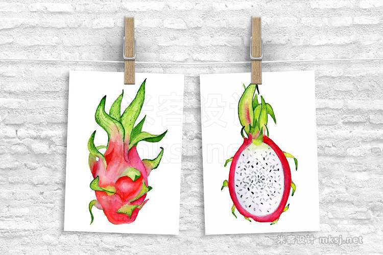 png素材 Watercolor tropical fruits clipart