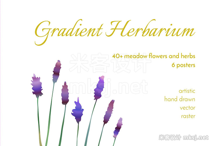 png素材 Meadow Gradient Herbarium