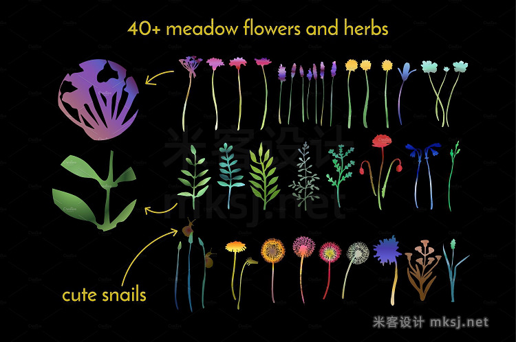 png素材 Meadow Gradient Herbarium