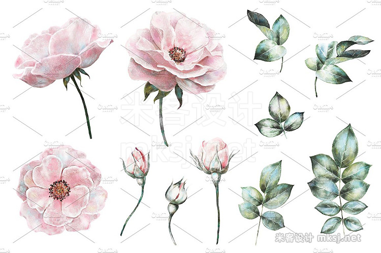 png素材 Watercolor floral design set Flower