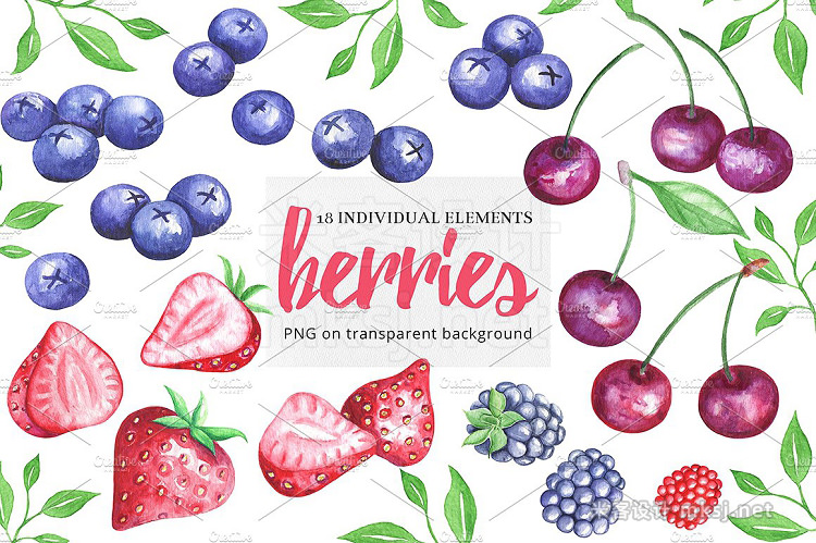 png素材 Bright Berries Illustrations