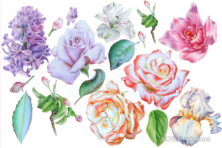 png素材 Realistic watercolor flowers