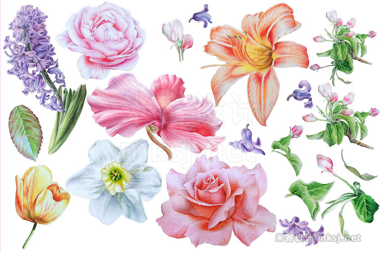 png素材 Realistic watercolor flowers