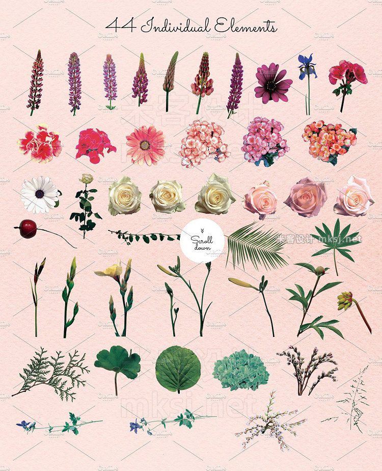 png素材 Gardener's Dream - real flowers' set