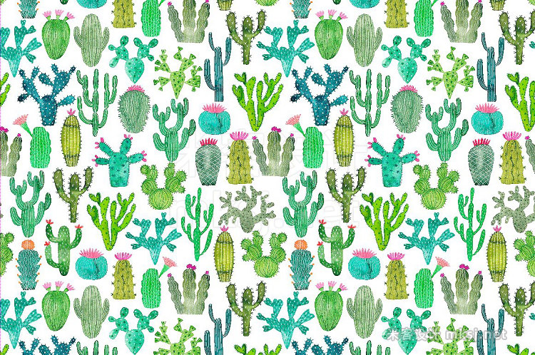 png素材 Watercolor cactus