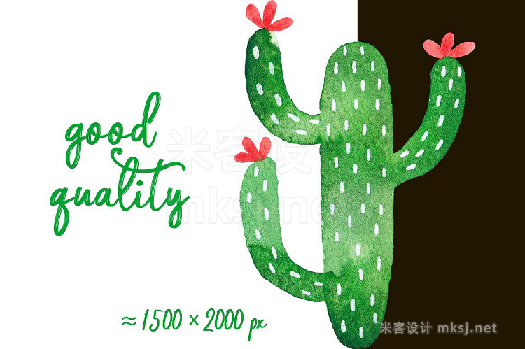 png素材 Watercolor cactus