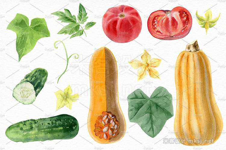 png素材 Watercolor vegetables and herbs