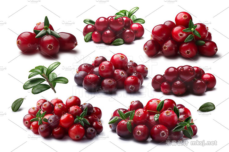 png素材 Cranberry lingonberry