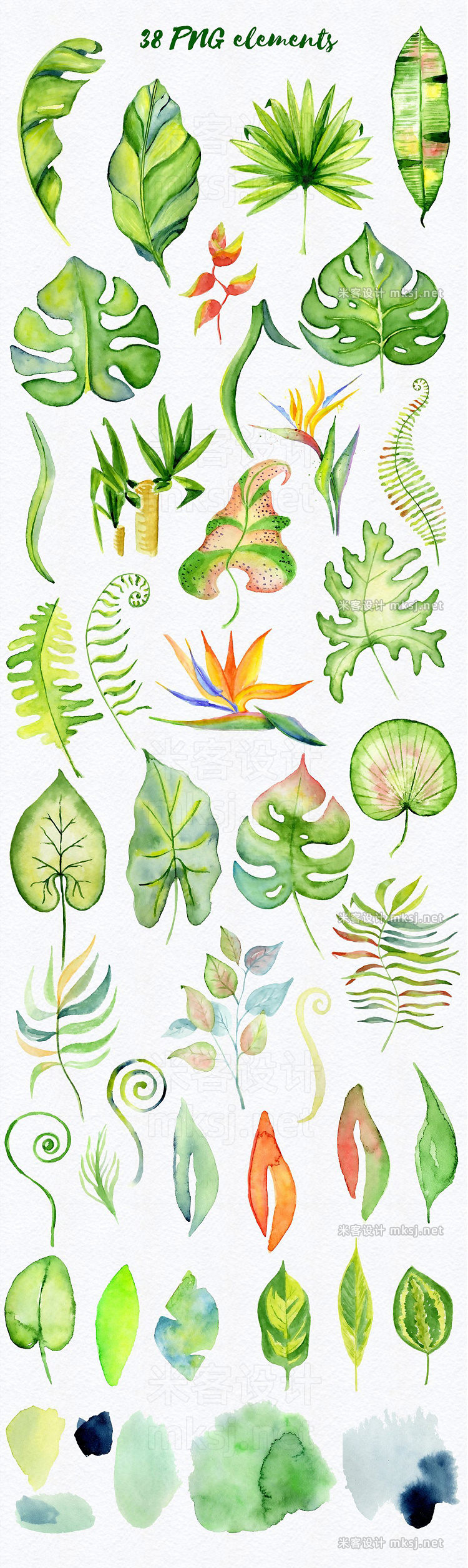 png素材 Tropical leaves Watercolor clipart
