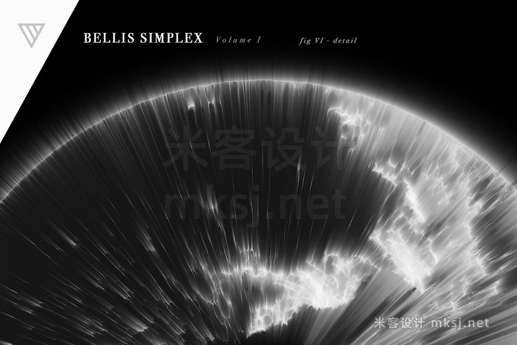 png素材 Bellis Simplex
