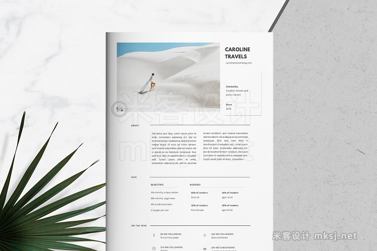 png素材 2 Page Blogger Media Kit Template