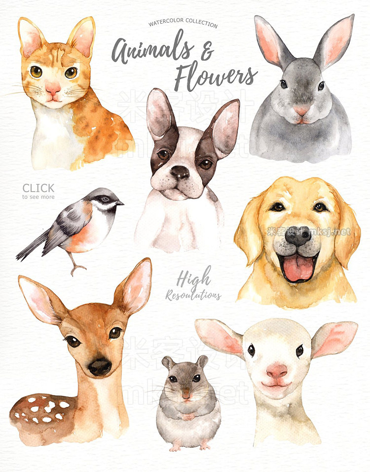 png素材 Animals Flowers Watercolor Clipart