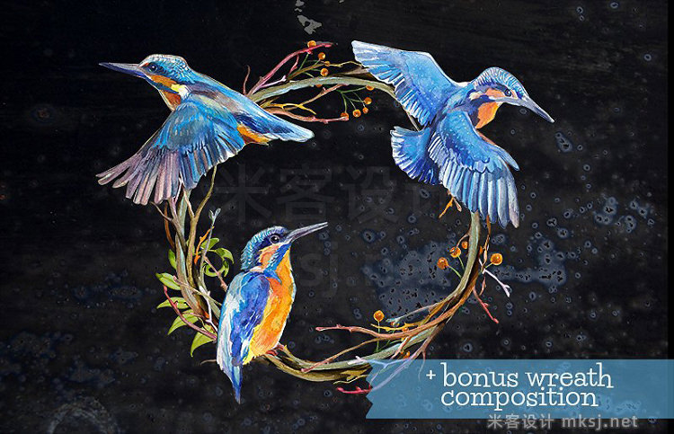 png素材 Kingfishers Watercolor Clip Arts -10