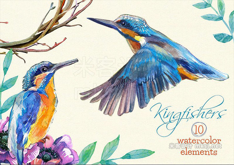 png素材 Kingfishers Watercolor Clip Arts -10