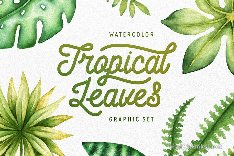 png素材 Watercolor Tropical Leaves