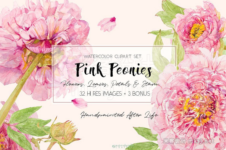 png素材 Pink Peonies-Clipart Set
