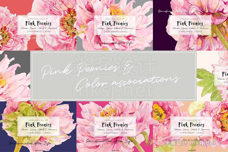png素材 Pink Peonies-Clipart Set