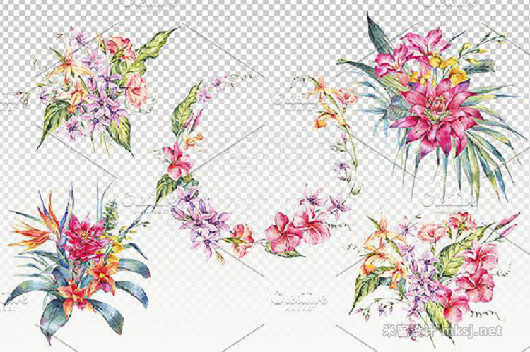 png素材 Summer Tropical Flowers Collection