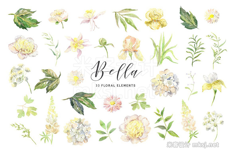 png素材 Bella Watercolor floral collection