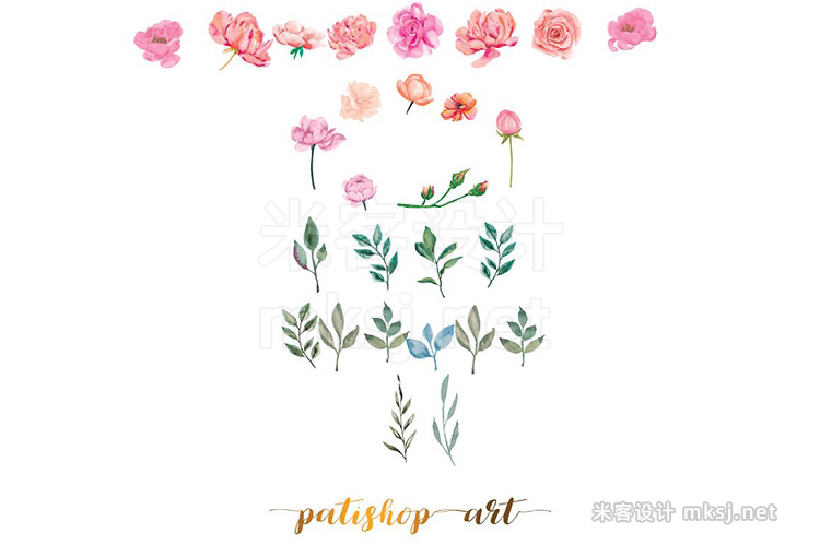 png素材 Watercolor Peony Rose Collection