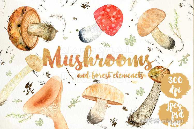 png素材 Watercolor forest mushrooms