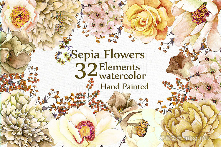 png素材 Watercolor Sepia flowers Clipart