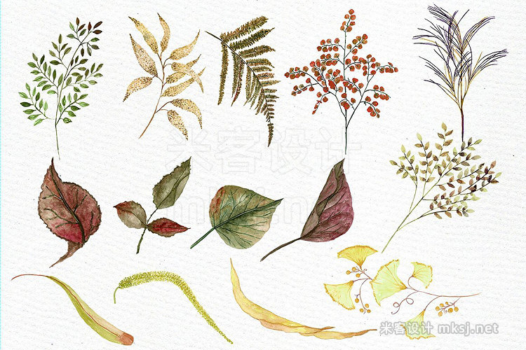 png素材 Watercolor Sepia flowers Clipart
