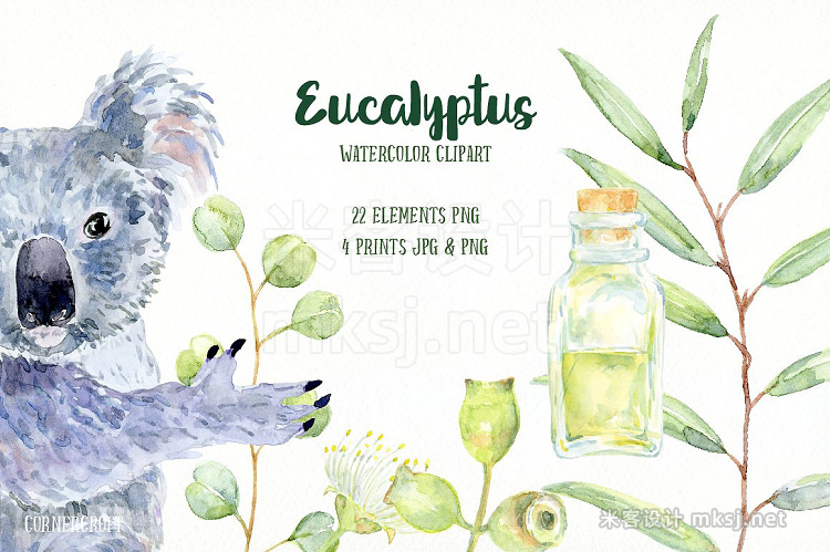 png素材 Watercolor Eucalyptus Koala Clip Art