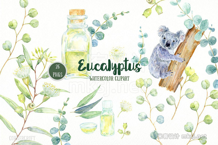 png素材 Watercolor Eucalyptus Koala Clip Art