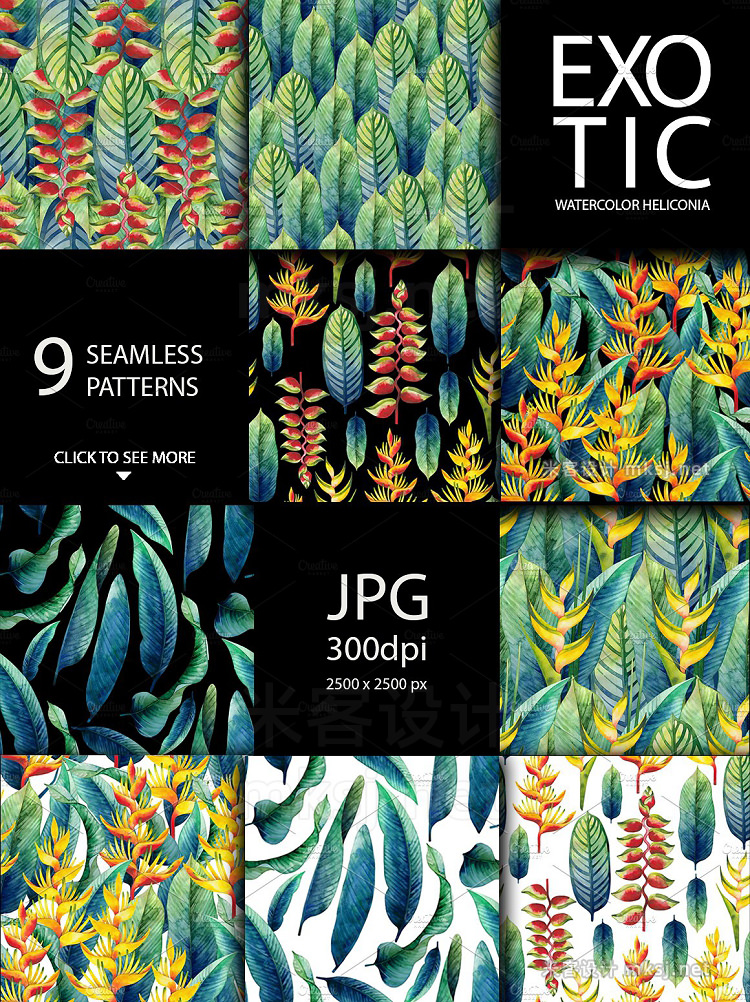 png素材 Watercolor heliconia collection