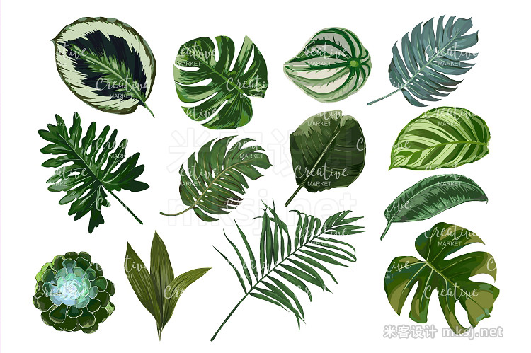 png素材 Tropical Green Vector Collection