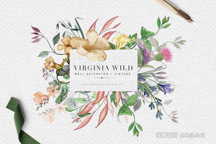 png素材 Virginia Wild - Watercolor Duo Pack