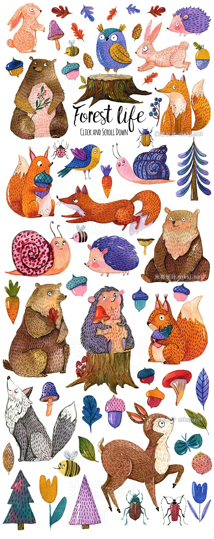 png素材 Cute forest  animals set