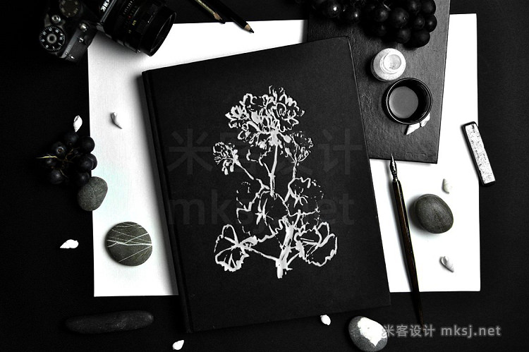 png素材 Black & White Flowers - Ink floral set