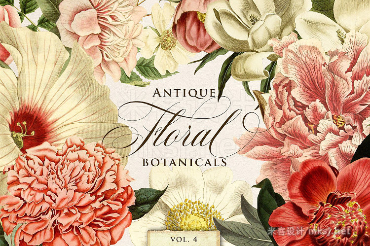 png素材 Antique Floral Botanical Graphics 4