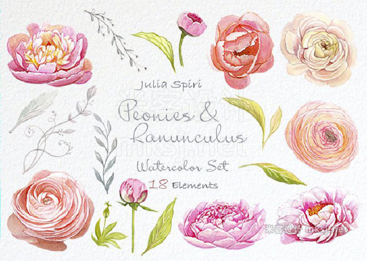 png素材 Peonies Ranunculus Watercolor Set