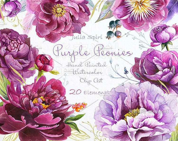 png素材 Purple Peonies Watercolor Clipart