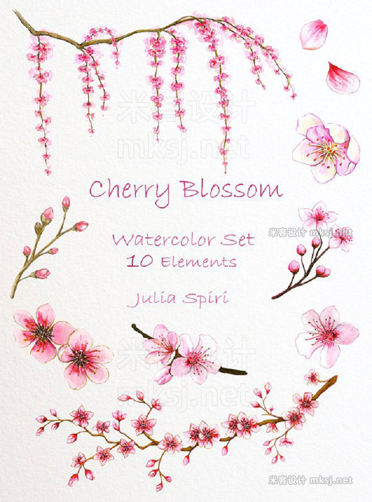 png素材 Cherry Blossom Watercolor Clip Art