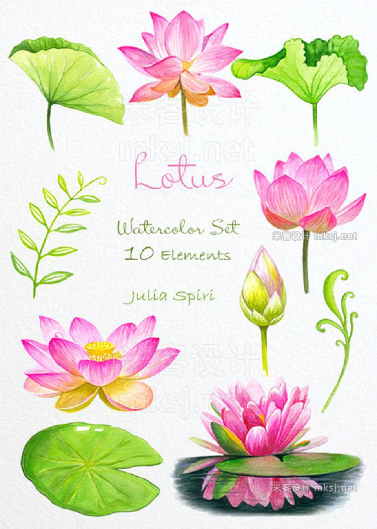 png素材 Lotus Watercolor Clip Art