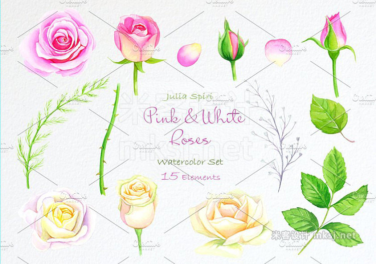 png素材 Pink  & White Rose Watercolor Clip Art